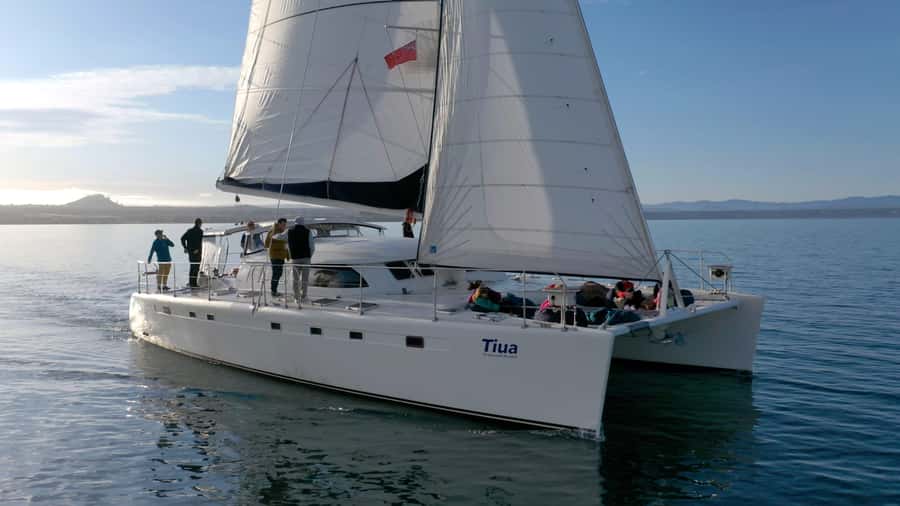Lake Taupo: Luxury Sailing Catamaran to Māori Rock Carvings - The Māori Rock Carvings at Mine Bay
