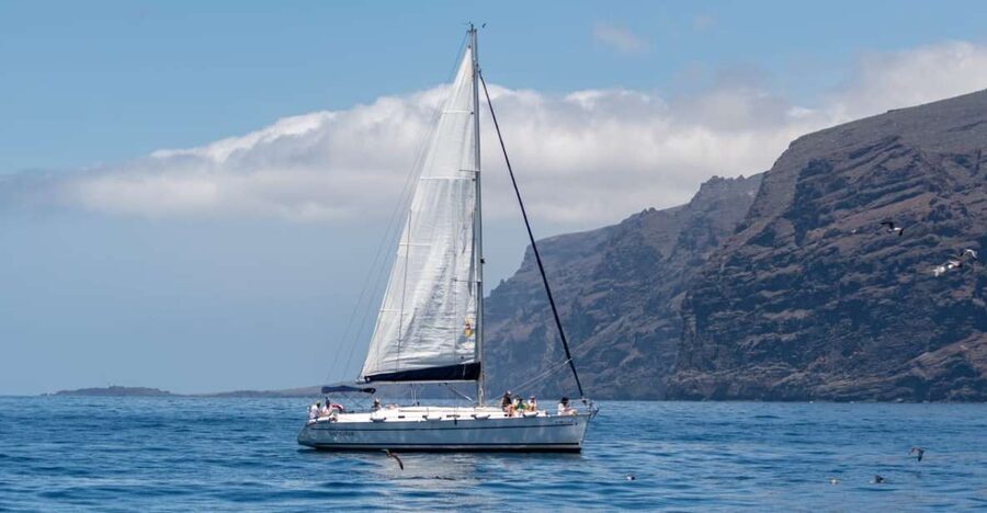 Los Gigantes: Sailing Excursion with Swimming, Drink & Tapas - Key points to know before booking