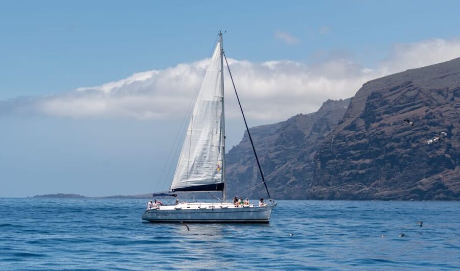 Los Gigantes: Sailing Excursion with Swimming, Drink & Tapas - Setting out from Puerto de Los Gigantes