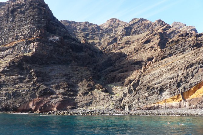 Los Gigantes Whale Watching Charter by Sail Boat - What the wildlife watching is really like