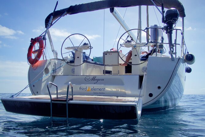 Los Gigantes Whale Watching Charter by Sail Boat - Meeting at Pantalán 1 in Los Gigantes