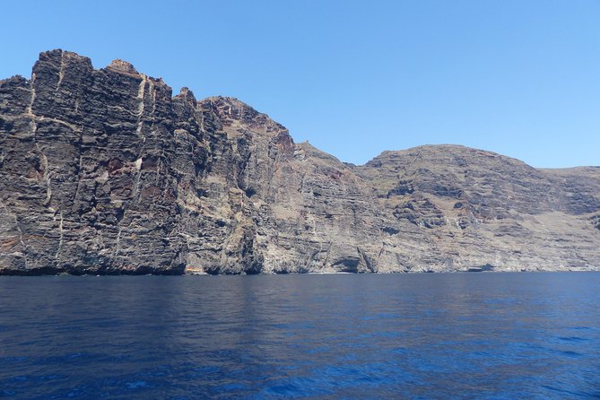 Los Gigantes Whale Watching Charter by Sail Boat - Booking, weather, and cancellation details