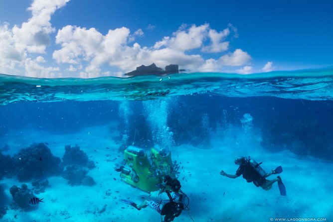 LUXURY Catamaran Bora Bora : Sailing, Snorkeling & Floating Bar - Service from the crew