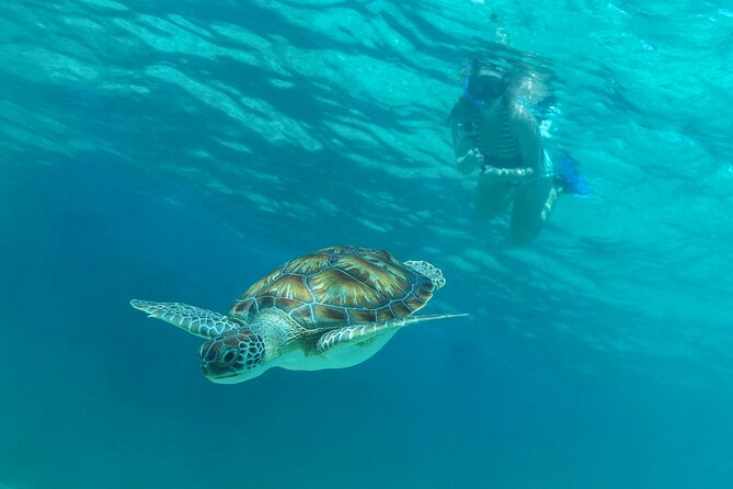Luxury Sailing & Snorkeling Experience from Riviera Maya - What to expect at the Mayan coral reef