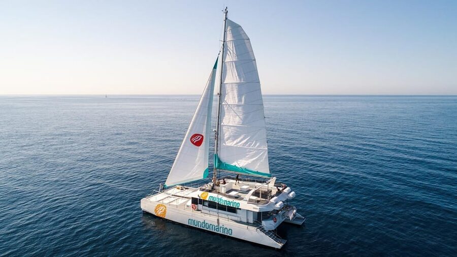 Malaga: Sailing Catamaran with Swimming and Paella Lunch - Who should book this Malaga boat trip?