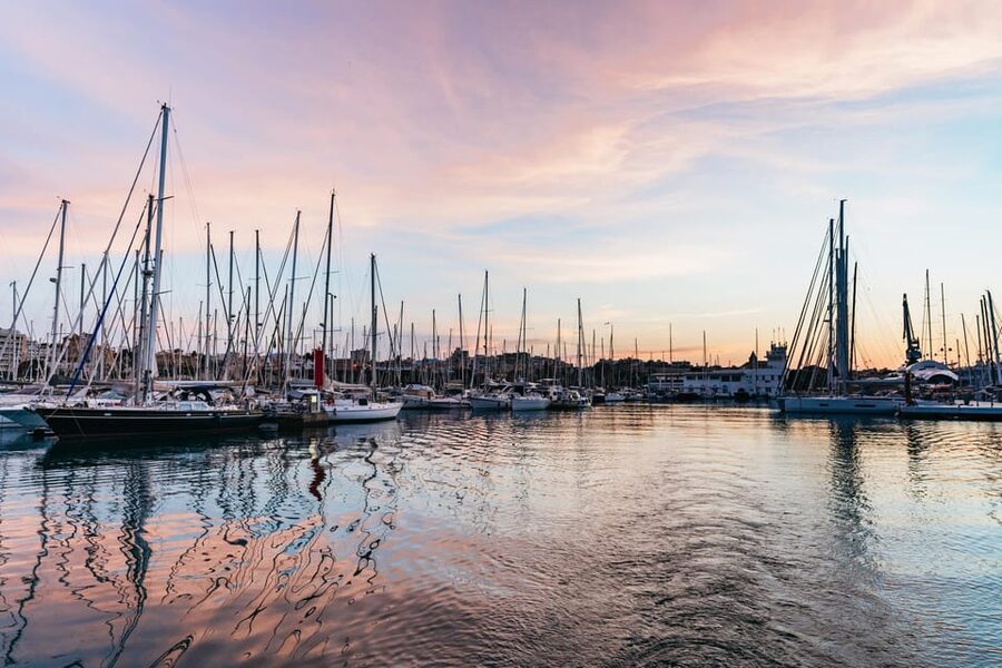 Mallorca: Midday or Sunset Sailing with Snacks and Open Bar - Four hours on Palma Bay, with room to slow down