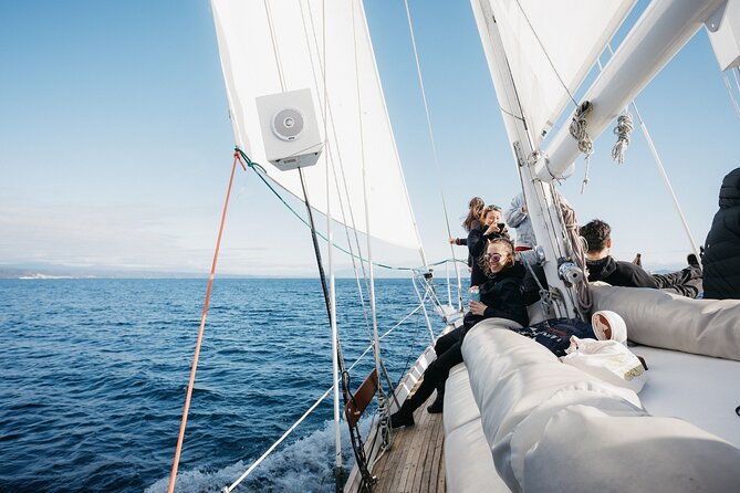 Maori Rock Carvings Eco Sailing Taupo - What the guides add to the trip
