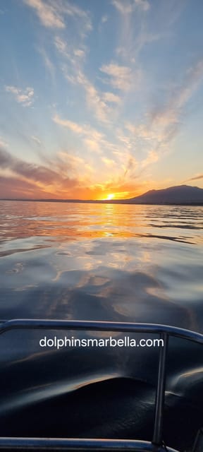 Marbella: Dolphin-Watching Sailboat Trip with Drinks, Snacks - Setting out from Port of Marbella, Bajadilla