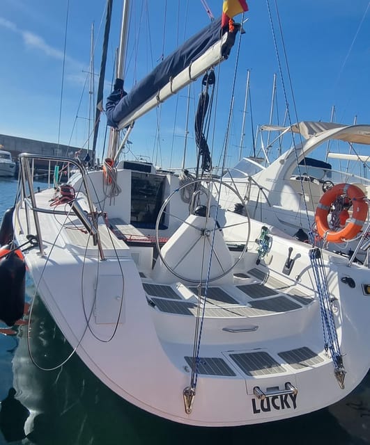 Marbella: Dolphin-Watching Sailboat Trip with Drinks, Snacks - Who will enjoy this most?