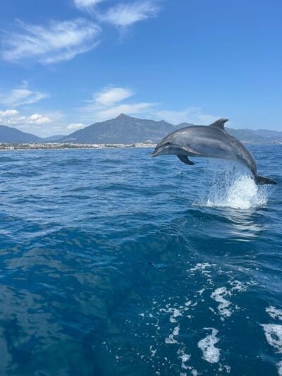 Marbella: Sailing & Dolphin Watching with Snacks and Drinks