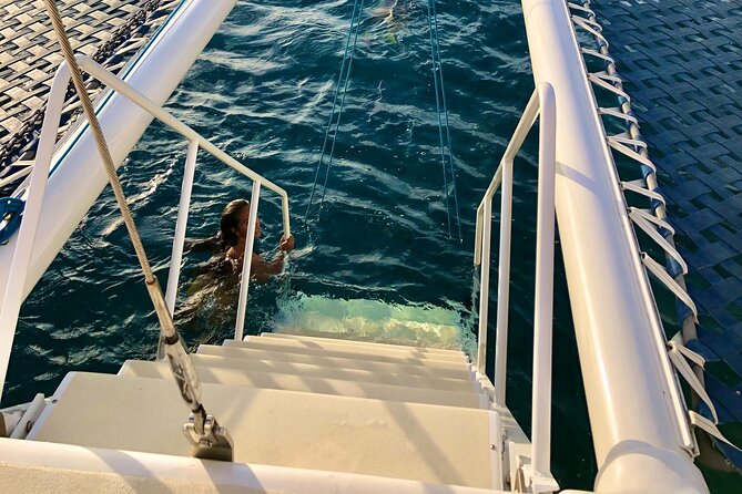 Moana’s Swim’n’Sail Cocktail Cruise Along the Waikiki Coast - Wildlife sightings without a whale-watching promise