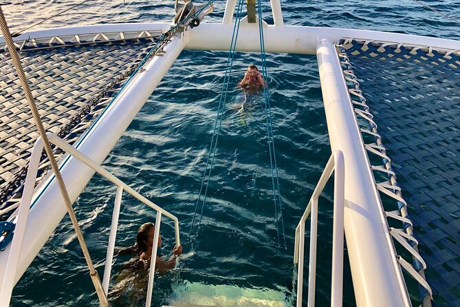 Moana’s Waikīkī Grand Guided Turtle Snorkel & Sailing Adventure - The Turtle Canyon snorkel