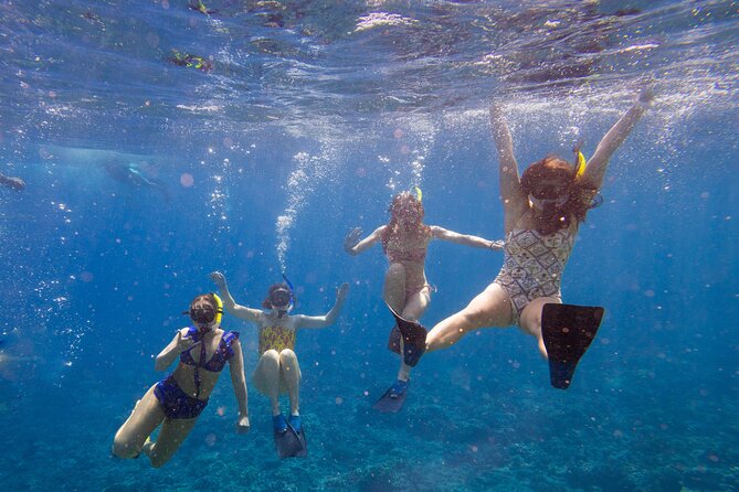 Molokini Snorkel and Performance Sail: Mā’alaea Harbor - Key points before you book