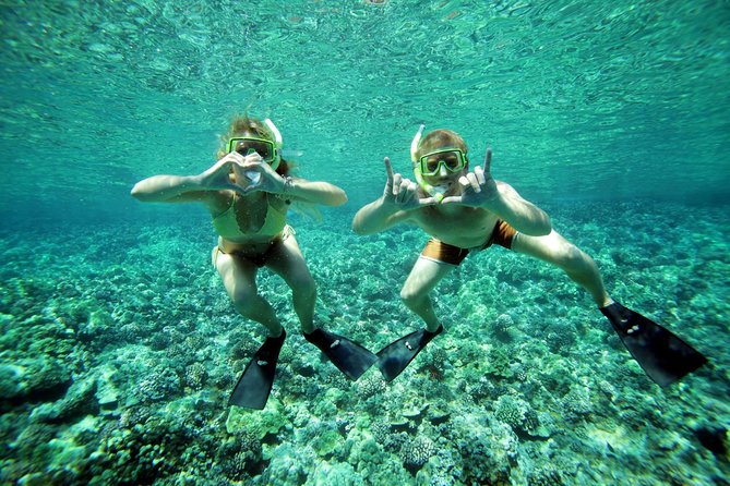 Molokini Snorkel and Performance Sail: Mā’alaea Harbor - What $200 buys you