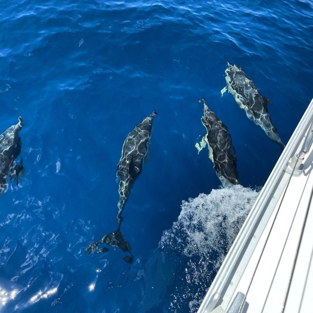 Morro Jable: Sailing Boat Excursion with Food and Drinks - Coastal views from the Atlantic