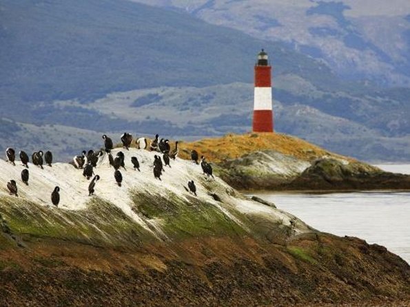 Navigate through the Beagle Channel: Seal, Bird & Penguin Islands - What the Beagle Channel cruise is really like