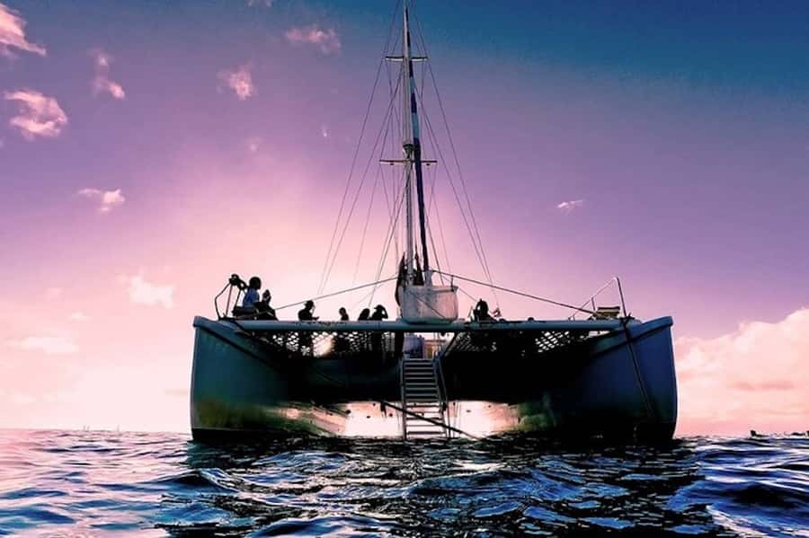 Oahu: Waikiki Sunset Catamaran Sail and Swim - The swim stop in open Pacific water