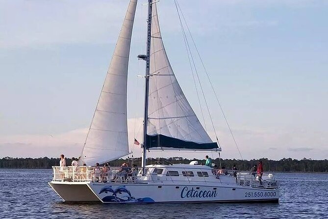 Orange Beach Sunset Sailing Cruise - How the catamaran ride feels for different people