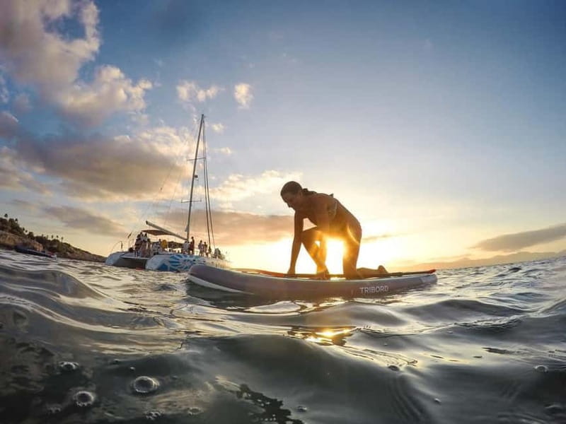 Palma de Mallorca: Deluxe Catamaran Sailing Tour with Meal - Who should book this sailing