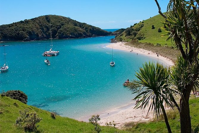 Phantom Sailing Bay of Islands - Homemade lunch on deck