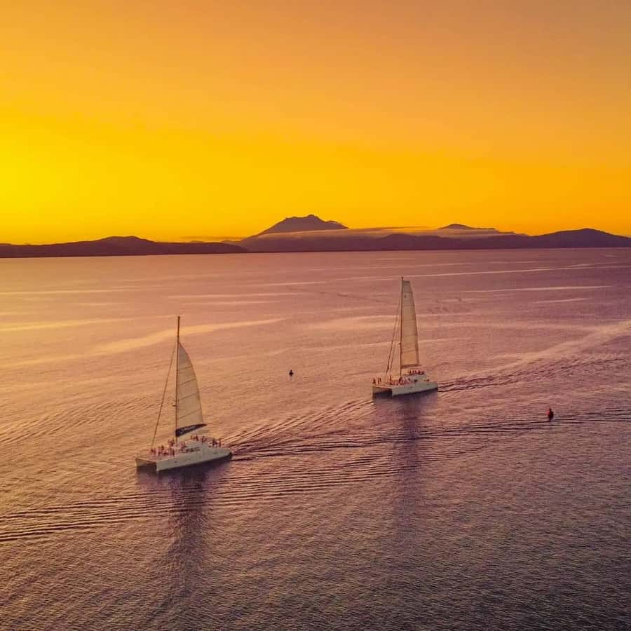 Port Douglas: Sunset Sailing Cruise on Luxury Catamaran - The catamaran, seating, and onboard mood