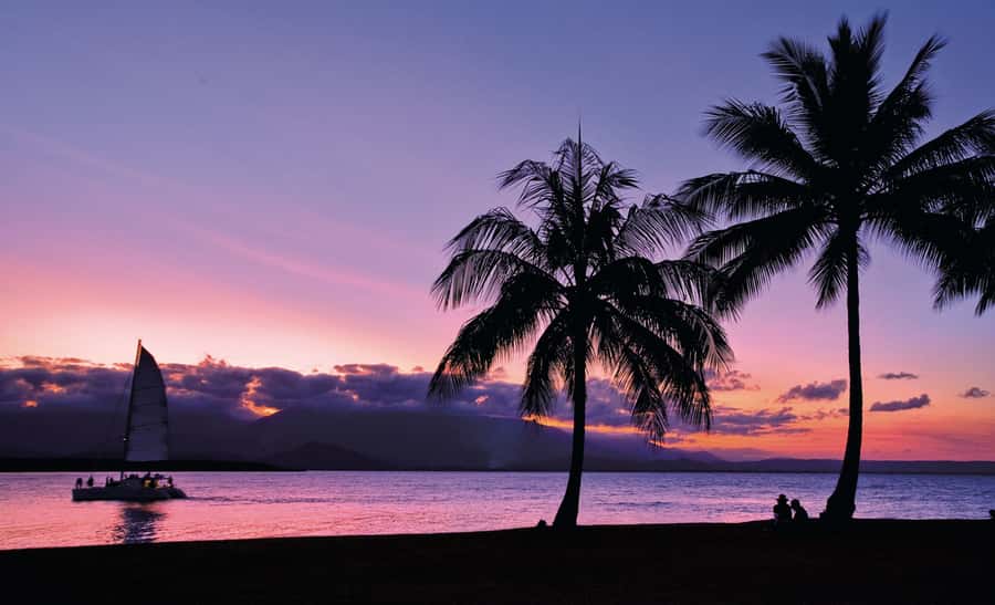 Port Douglas: Sunset Sailing Cruise on Luxury Catamaran - Who should book this Port Douglas sailing?