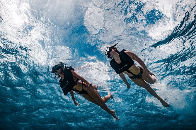 Premium Morning Snorkel Sail with Champagne Brunch - Setting sail from Pelican Pier at 9:00 a.m.