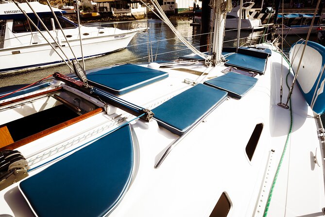 Private Sailboat tour in Cabo San Lucas with Papillon Yachts - Practical booking advice for Cabo