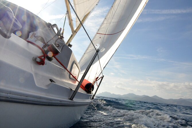 Private sailing excursion & Provencal picnic - A Provencal picnic with anchovy sauce and tzatziki
