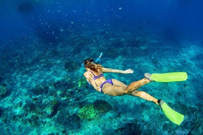 Private Sailing Tour in Rhodes - Lunch, farm ingredients, and drinks on board