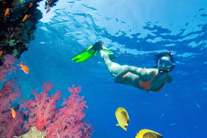 Puerto Morelos Catamaran Reef Sail and Snorkel - A small catamaran with a friendly crew