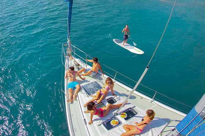 Puerto Vallarta Luxury Sailing with Premium Open bar & lunch - Wildlife watching in the bay