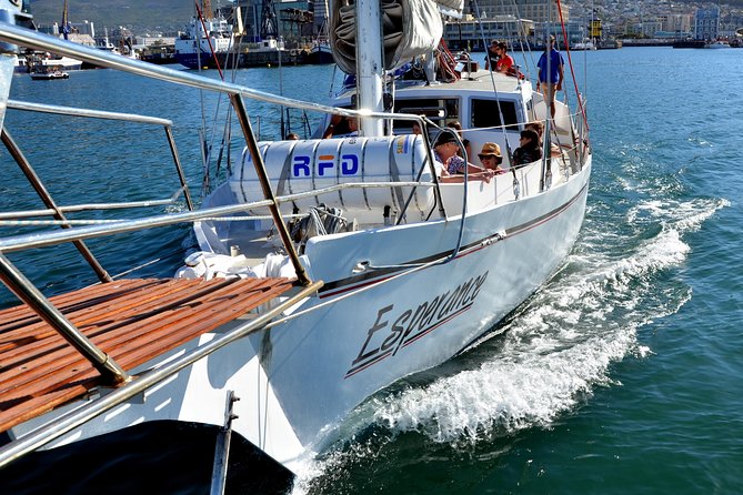 Sailing in The Bay by Catamaran (One Hour) - Choosing a route by wind and season