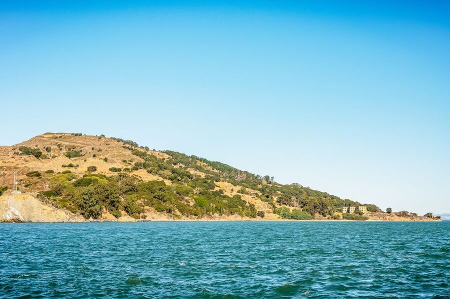 San Francisco: Bay Sailing Tour with Drinks - Is $129 good value?