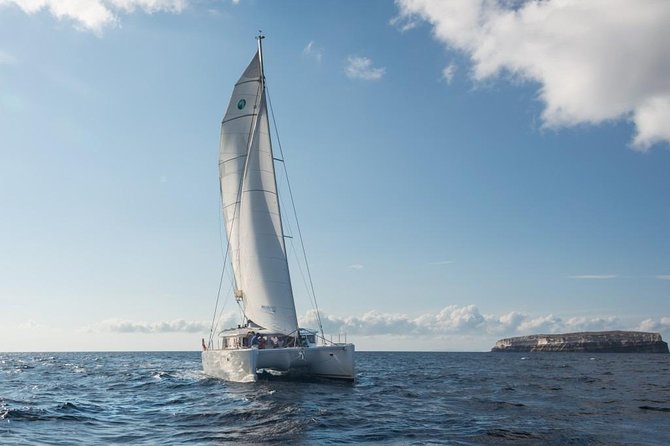 Santorini Caldera Sailing Tour with BBQ Lunch and Drinks - Nea Kameni and the warm volcanic springs
