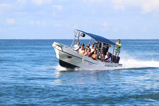 Saona Island Sailing Tour - All Inclusive - Saona Island is the reason to go