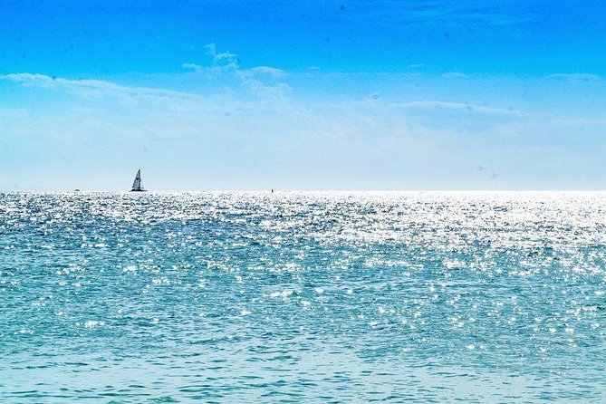 Saona Island Sailing Tour - All Inclusive - Lunch, drinks, and the open bar