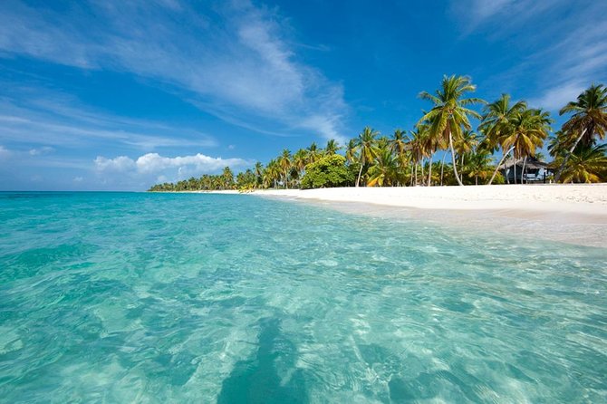 Saona Island Sailing Tour - All Inclusive - Who will enjoy this day most