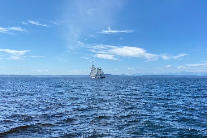 Seattle Sailing Harbor Tour - Setting sail from Pier 66