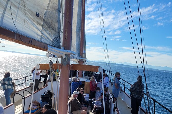 Seattle Sailing Harbor Tour - Timing, cancellation, and practical planning