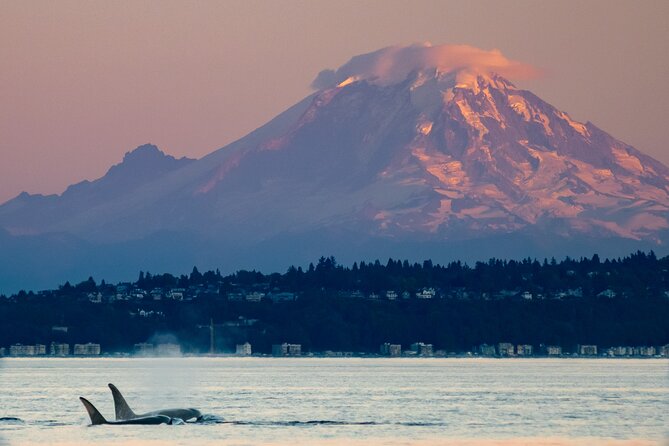 Seattle Sunset Sail BYOB - Seating, comfort, and who should skip it