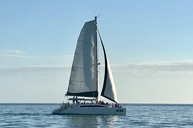 Sightseeing and Sunset Catamaran Sailing Excursion - Choosing between the day sail and sunset cruise