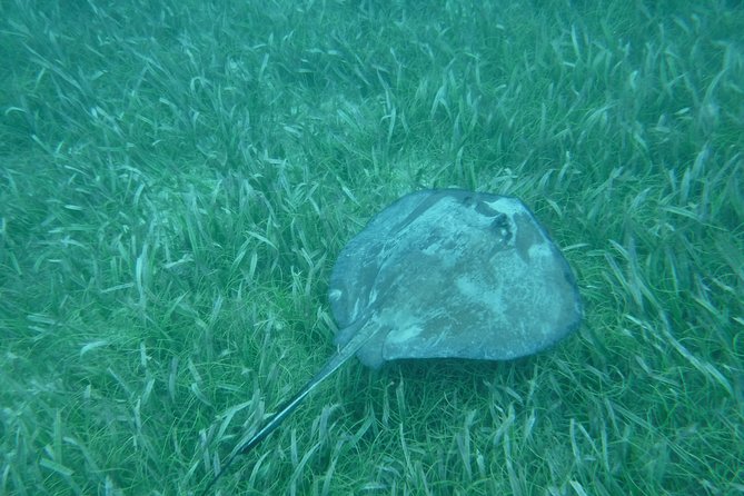 St John & Surrounding Cays - Full-Day Sail/Snorkel, 6 Guests Max - What the captain adds to the day