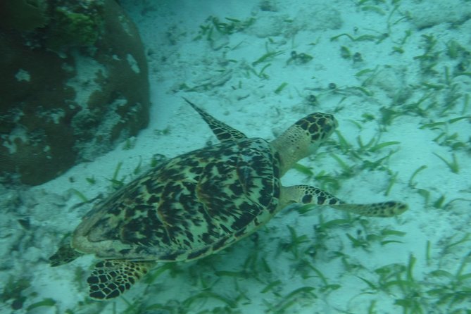 St John & Surrounding Cays - Full-Day Sail/Snorkel, 6 Guests Max - Is $245 a fair price?