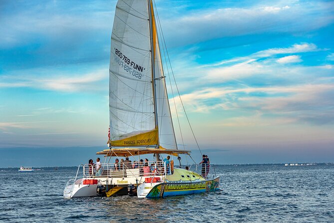 Sunset Dolphin Sail Aboard the Footloose Catamaran - Dolphins, music, and the onboard bar