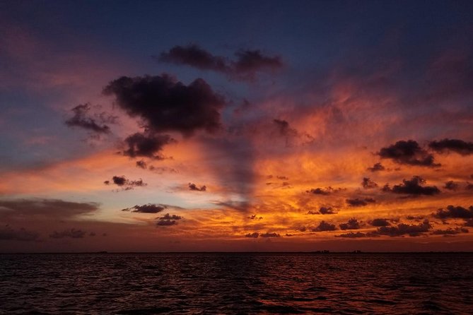 Sunset Sail in Miami: Complimentary Champagne Toast - Why the skyline views are worth the trip