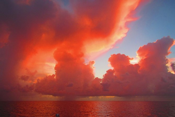 Sunset Sail in Miami: Complimentary Champagne Toast - Getting to the dock without stress