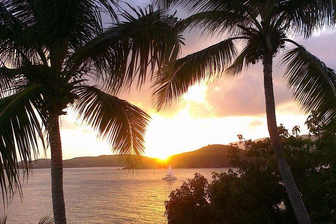 Sunset Sail with Cocktails and Appetizers - What the High Rating Gets Right