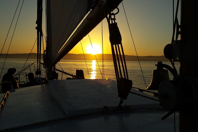 Sunset Sailing Experience in Estepona - Is This Good for Families and Older Adults?