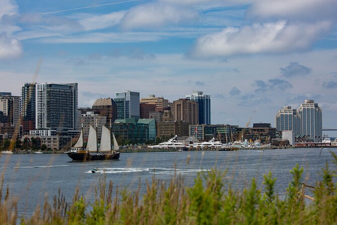 Tall Ship Silva Sailing Cruise Ft. a Live Musician - Drinks, Food, and Comfort on Board